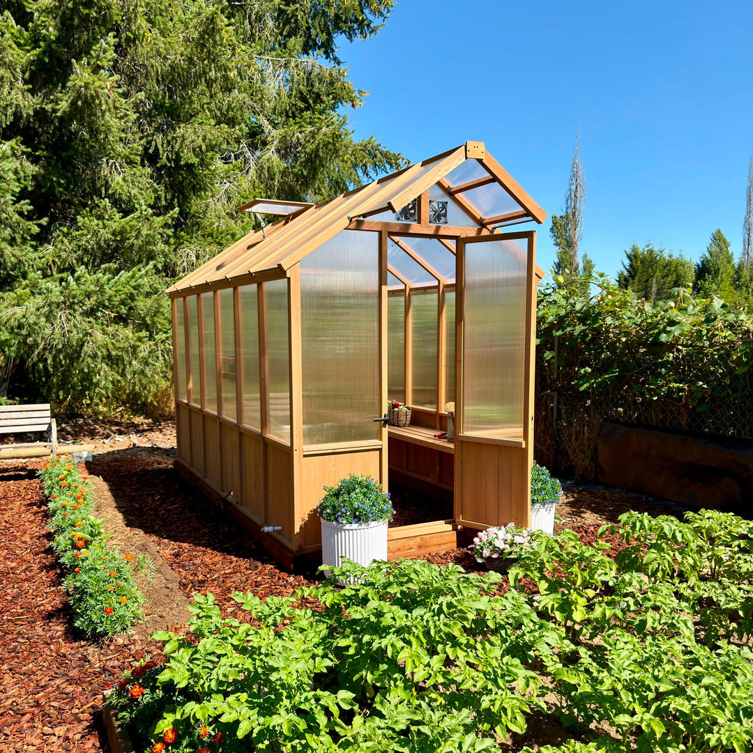 Arten von Gewächshäusern: Ein vollständiger Einkaufsführer zur Auswahl des richtigen Stils